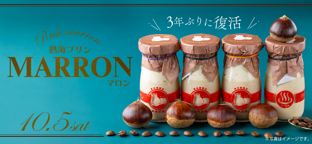 マロンさま専用 マロンさま専用 マロン専用 マロンさま専用 マロンさま専用 オプション