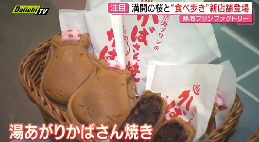 静岡第一テレビ「every.しずおか」