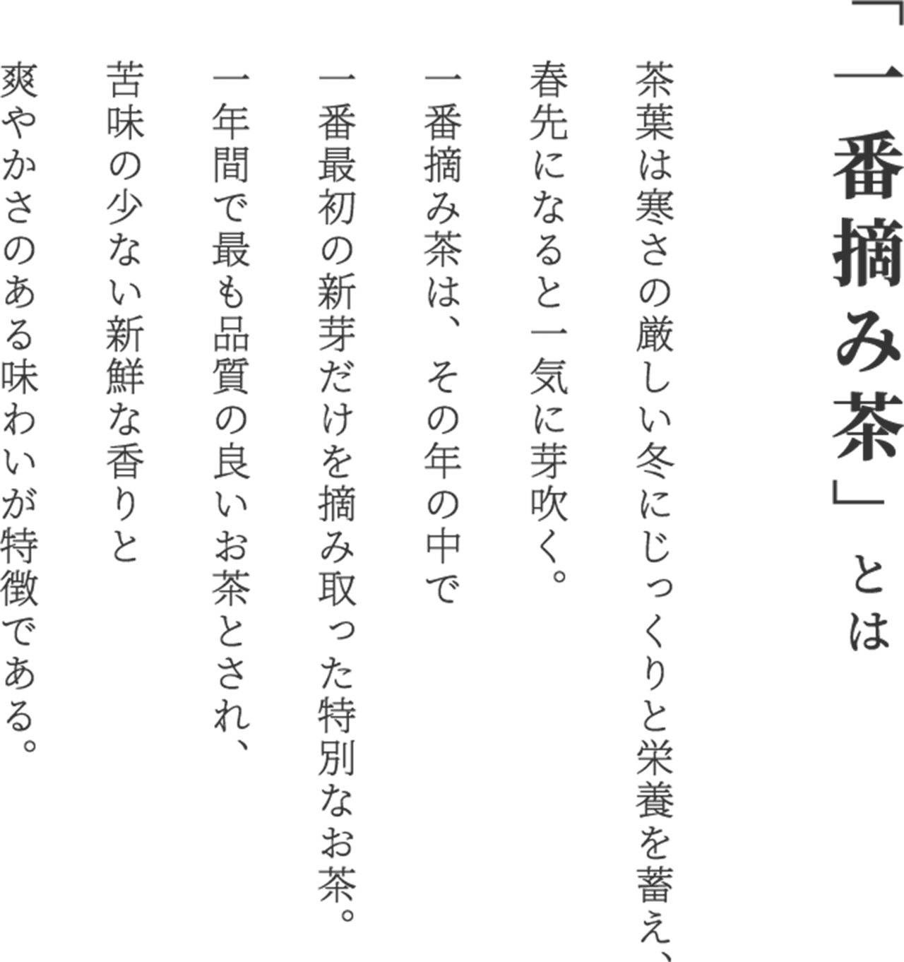 「一番摘み茶」とは