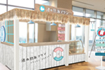 渚の熱海プリン